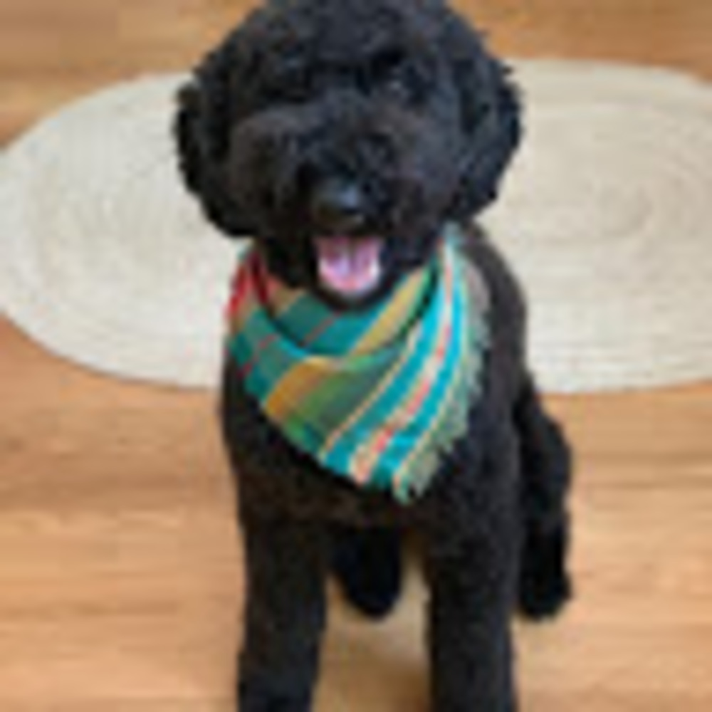 Meet your Posher, Maxine